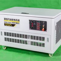 25KW交流汽油發(fā)電機